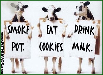 Cannabis_Cow_milk_Ad.jpg