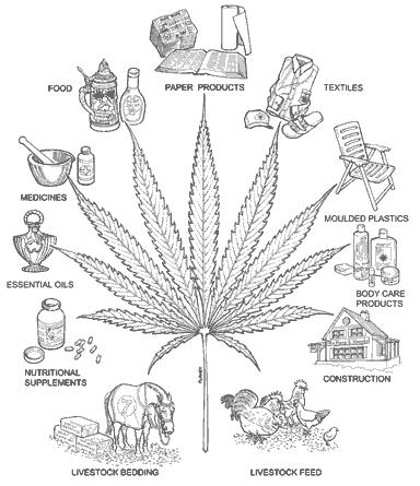 Cannabis_Benefits.jpg