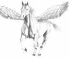 pegasus.jpg