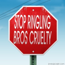 Animals_Ringling_Brothers_Stop_Sign.jpg