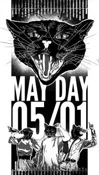 maydaycat.jpg