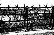 Concentration_Camp_Mauthausen.jpg