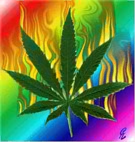 Cannabis_Psychadelic.jpg