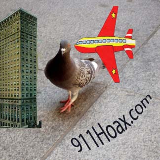 Balto_Pigeon_911.jpg