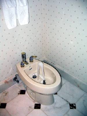 Bidet2_89.jpg