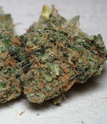Cannabis_Dried_weed.jpg