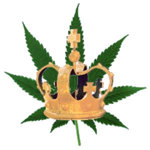 Cannabis_King.jpg