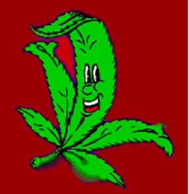 Cannabis_Cartoon_Happy.jpg