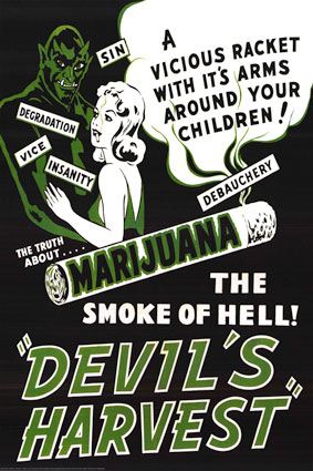 Cannabis_Devils_harvest.JPG