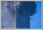 9-11 Picture7 (squib1).jpg