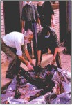 Bosnian Serb roasted and skewered by FIDELS.jpg