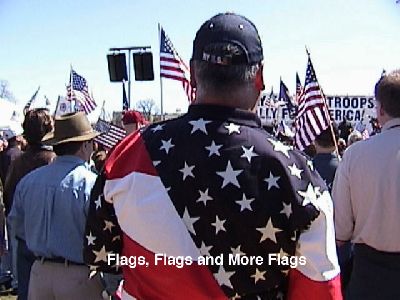 Flags, Flags and More Flags.jpg