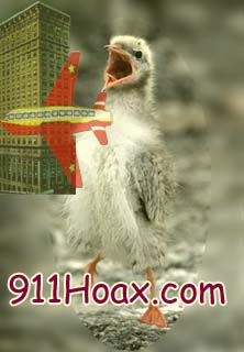 Animals_Chick_Scream_911.jpg