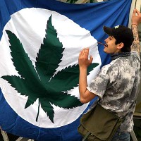 Cannabis_Flag_Man.jpg