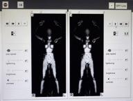 full body scans.jpg